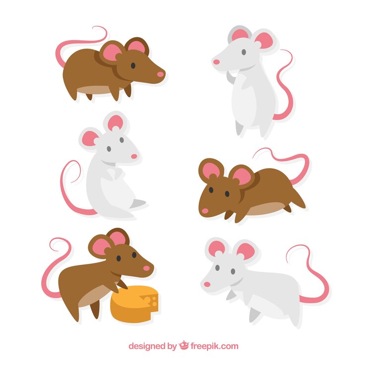 Free Vector hand drawn mice collection