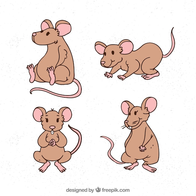 Free vector hand drawn mice collection