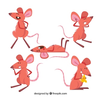 Коллекция ручных мышей