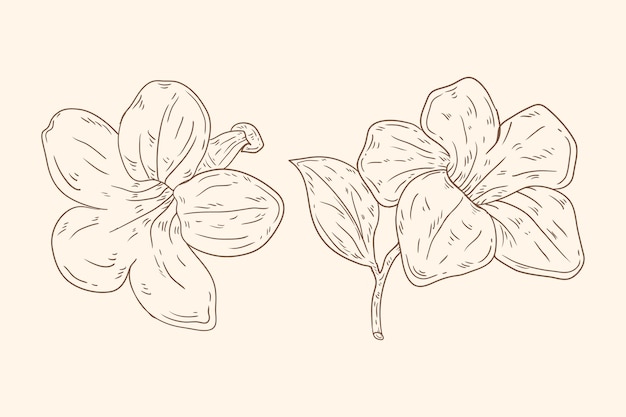 手描きのミニマリストの花のアウトライン