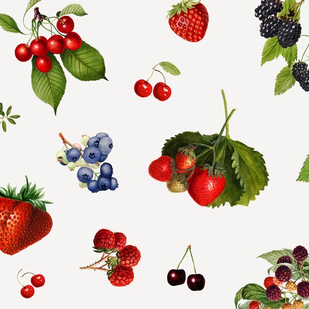 hand drawn mixed berries on a gray background