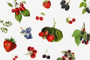 Free vector hand drawn mixed berries