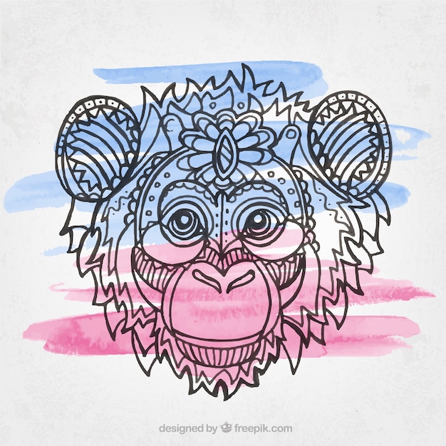  hand drawn monkey illustration with ethnic elements