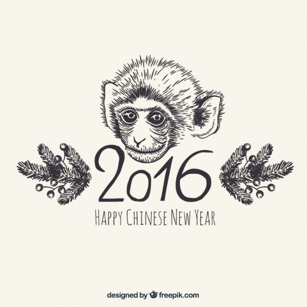 Hand drawn monkey new year background