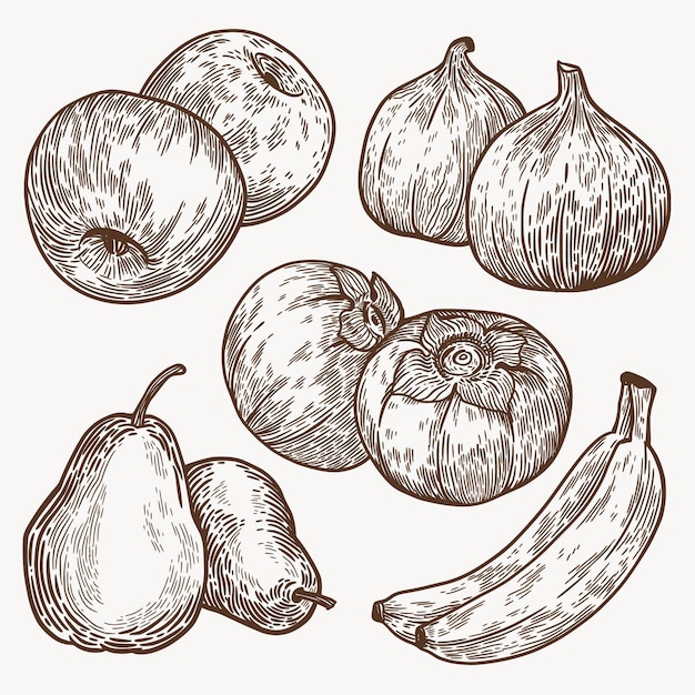 Vettore gratuito raccolta di frutta monocromatica disegnata a mano