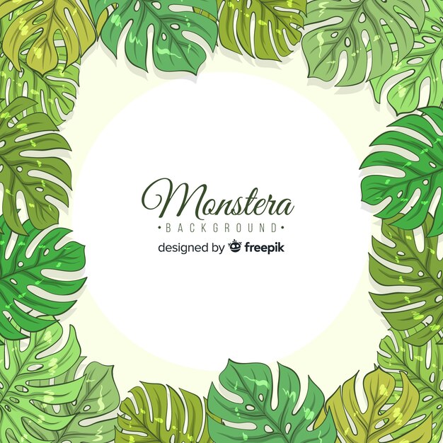 Free vector hand drawn monstera background