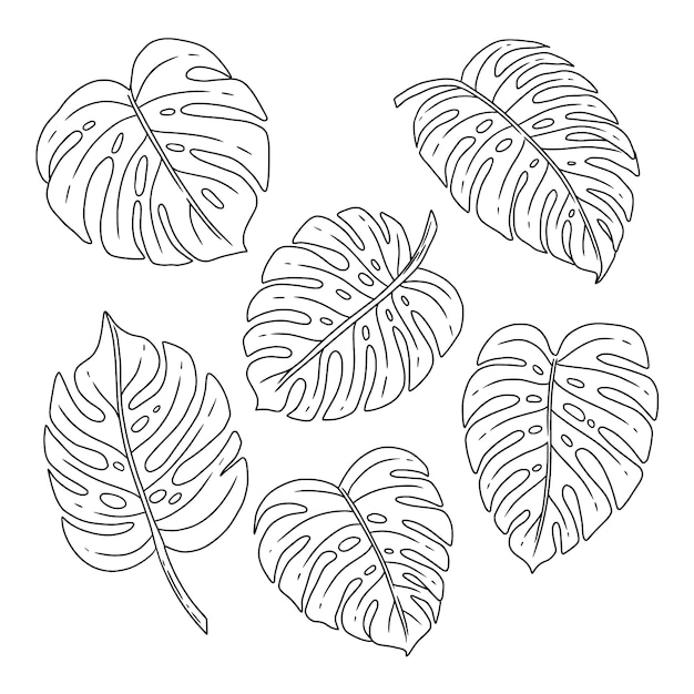 Free vector hand drawn monstera leaf outline illustration