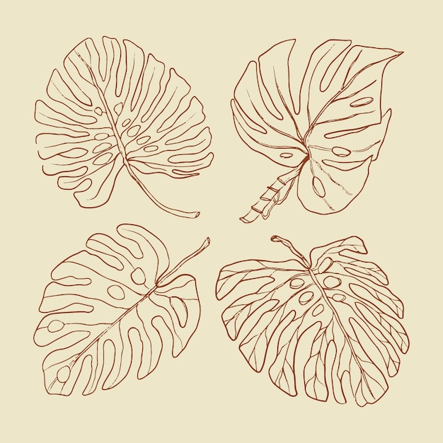 Illustrazione disegnata a mano del profilo della foglia di monstera