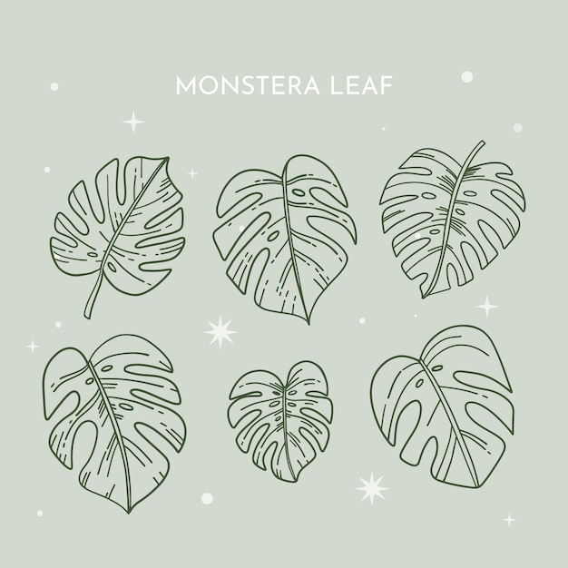 Vettore gratuito illustrazione disegnata a mano del profilo della foglia di monstera