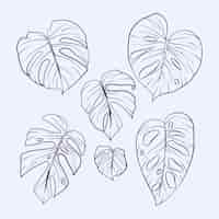 Free vector hand drawn monstera leaf outline illustration