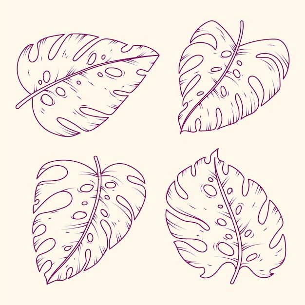 Free vector hand drawn monstera leaf outline illustration