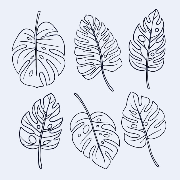 Free vector hand drawn monstera leaf outline illustration