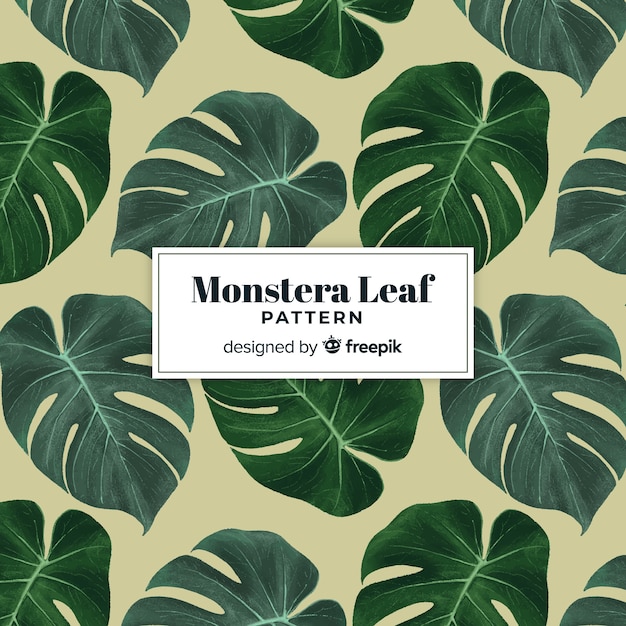 Hand drawn monstera leaves background