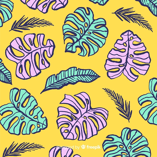 Hand drawn monstera leaves background