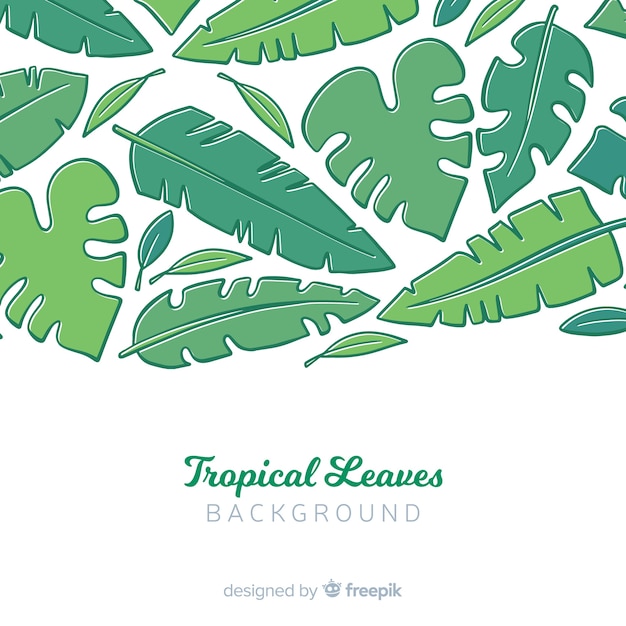 Free vector hand drawn monstera leaves background
