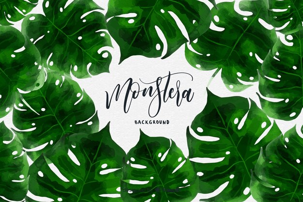 Hand drawn monstera leaves frame background