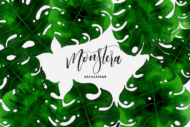 Hand drawn monstera leaves frame background