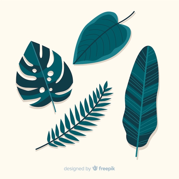 Free vector hand drawn monstera leaves pack