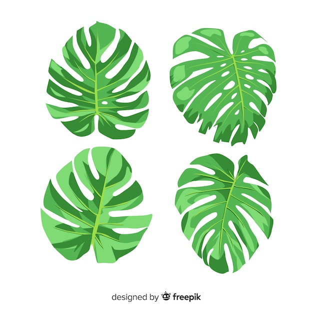 Free vector hand drawn monstera leaves pack