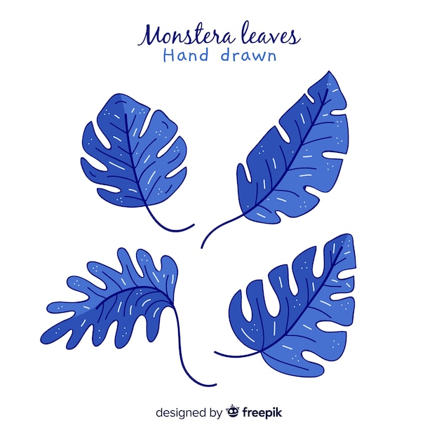 Free vector hand drawn monstera leaves pack