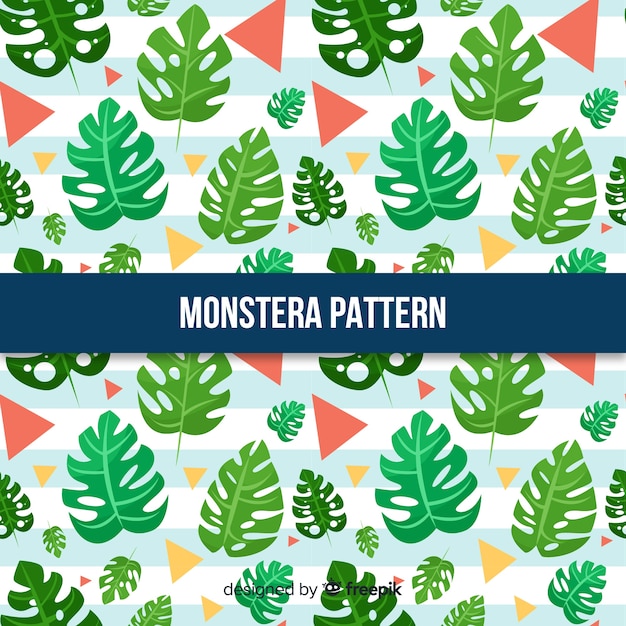 Modello disegnato a mano foglie di monstera