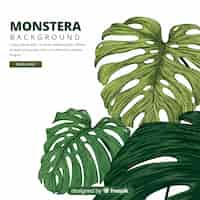 Vettore gratuito foglie disegnate a mano di monstera