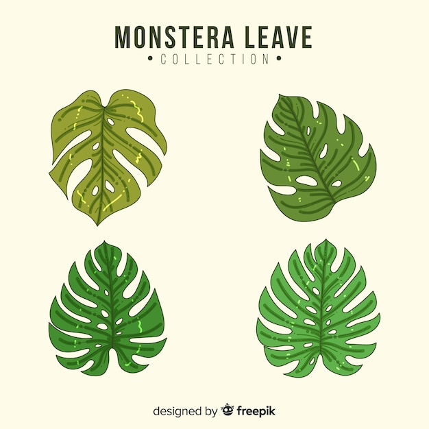 Free vector hand drawn monstera leaves