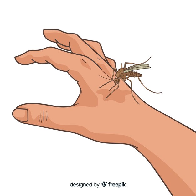 Hand drawn mosquito biting a hand