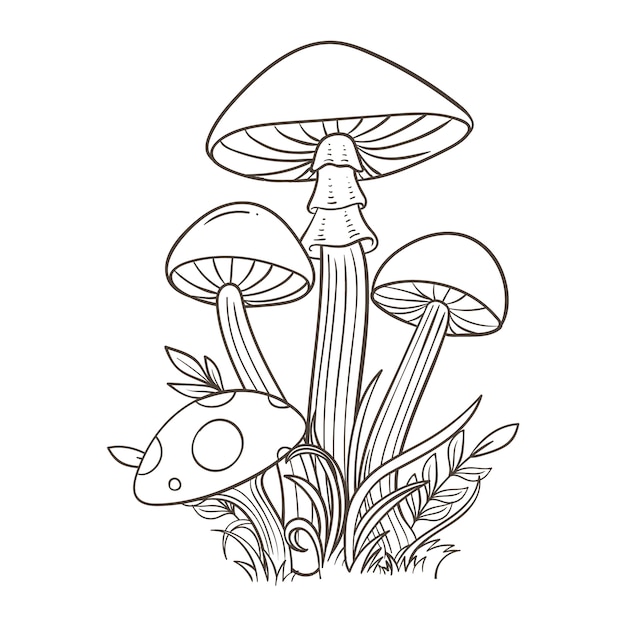 Illustrazione di funghi disegnata a mano