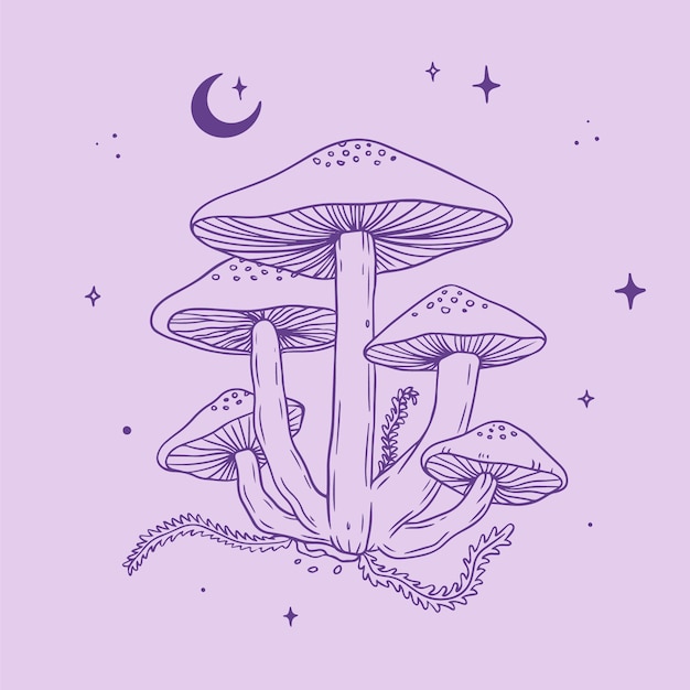 Free vector hand drawn mushroom outline illustration