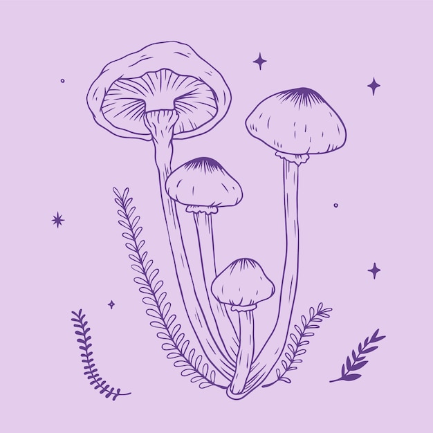 Free vector hand drawn mushroom outline illustration