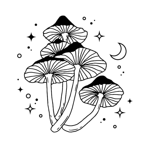 Free vector hand drawn mushroom outline illustration