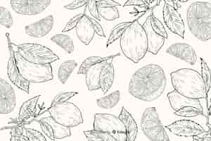 Free vector hand drawn natural food background