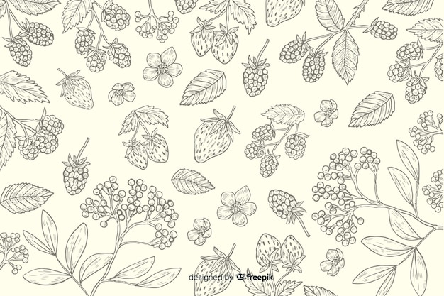 Hand drawn natural food background