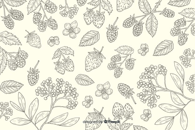 Hand drawn natural food background