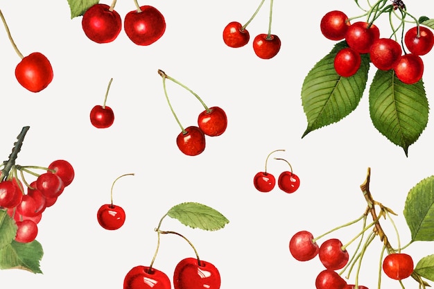 Hand drawn natural fresh red cherry