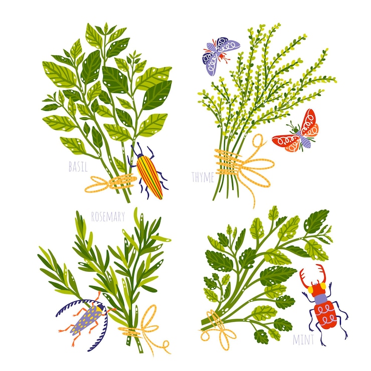 Free Vector hand drawn nature stickers set