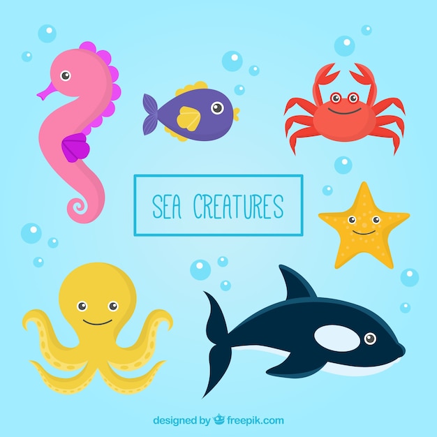 Vettore gratuito disegnati a mano belle creature marine pacco