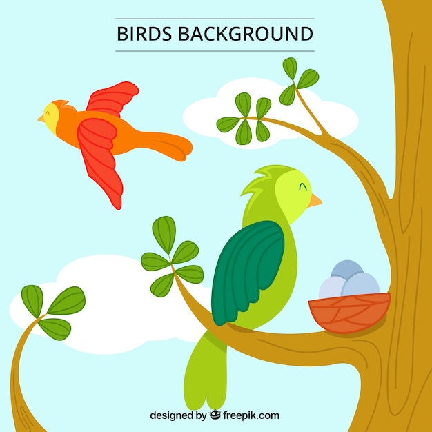 Free vector hand drawn nice parrots background