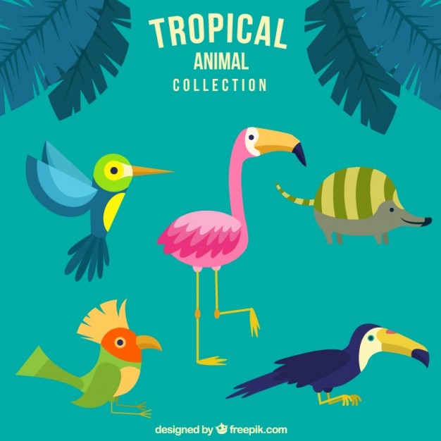 Belle animali tropicali disegnati a mano