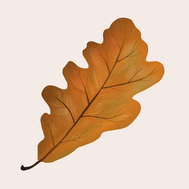 手描きオーク要素ベクトル秋の葉
