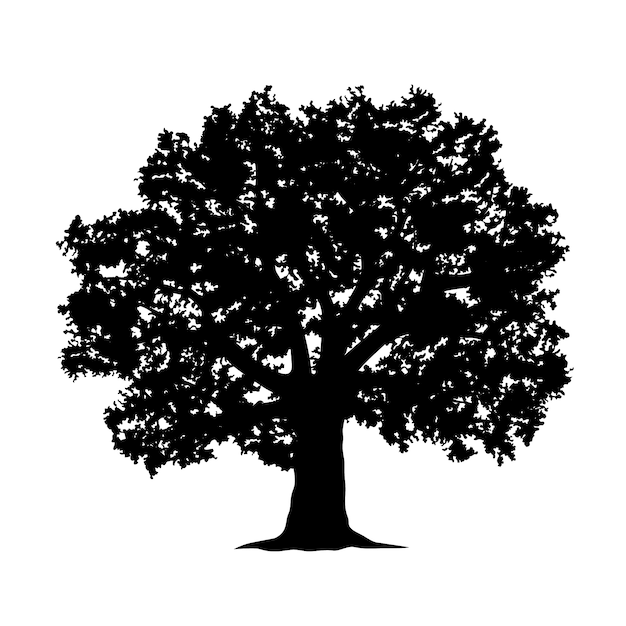 Free vector hand drawn oak tree silhouette