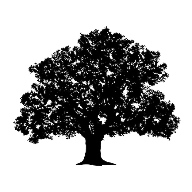 Hand drawn oak tree silhouette