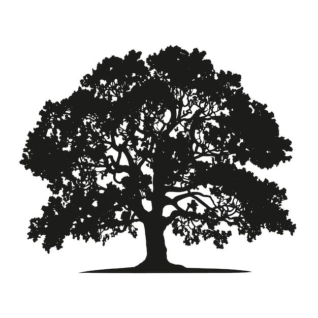 Hand drawn oak tree silhouette