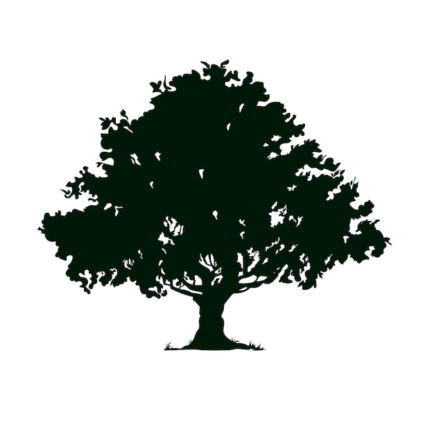 Hand drawn  oak tree silhouette
