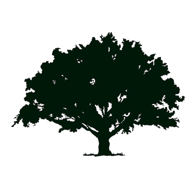 Hand drawn  oak tree silhouette