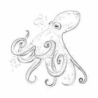 Free vector hand drawn octopus  drawing illustration