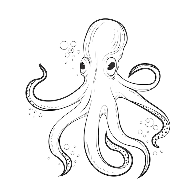 Free vector hand drawn octopus  drawing illustration