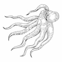 Free vector hand drawn octopus  drawing illustration