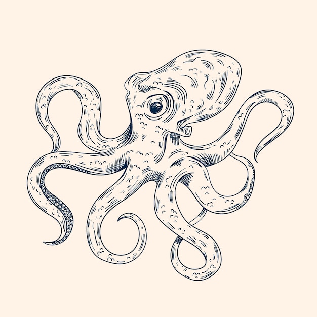 Free vector hand drawn octopus drawing illustration